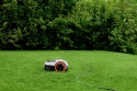Segway Navimow i205 AWD